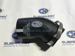 Фото автомобильной запчасти Патрубок (оригинальный номер 21869AA170)