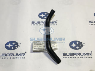 Фото автомобильной запчасти Шланг (оригинальный номер 38375AA031)