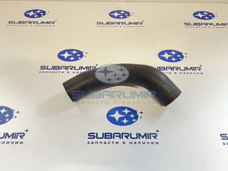 Фото автомобильной запчасти Патрубок радиатора нижний S10 202. S11 251. (оригинальный номер 45169FC000)