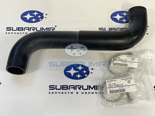 Фото автомобильной запчасти Патрубок радиатора (оригинальный номер X4511AE030)