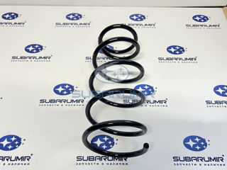 Фото автомобильной запчасти Пружина амортизатора задняя  S11  OBK (оригинальный номер C4B91052)