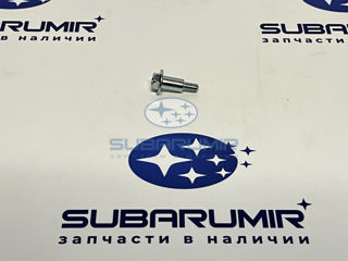 Фото автомобильной запчасти Болт (оригинальный номер 808106950)