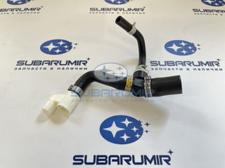 Фото автомобильной запчасти Шланг (тройник) картерных газов. (оригинальный номер 11815AB711)