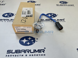 Фото автомобильной запчасти Лямдазонд первый S12  255 (оригинальный номер 22641AA590)