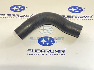 Фото автомобильной запчасти Патрубок радиатора нижний B13 3,0 (оригинальный номер 45161AG050)