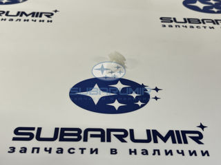 Фото автомобильной запчасти Клипса (оригинальный номер 909130115)