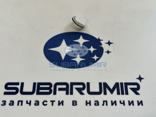 Фото автомобильной запчасти Клипса (оригинальный номер 909130108)