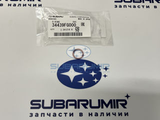 Фото автомобильной запчасти Кольцо ГУРа резиновое S12 255 (оригинальный номер 34439FG000)