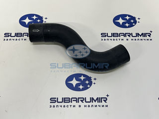 Фото автомобильной запчасти Патрубок радиатора верхний B11 2,5 (оригинальный номер 45167AA020)