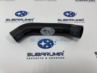 Фото автомобильной запчасти Патрубок радиатора нижний B12 2,5 (оригинальный номер 45161AE010)