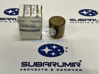 Фото автомобильной запчасти Поршень тормозного суппорта переднего S10 (оригинальный номер 26236AA020)