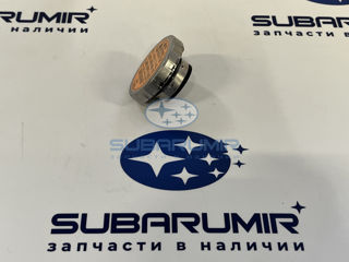 Фото автомобильной запчасти Пробка радиатора S12 255 (оригинальный номер 45137FE002)