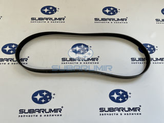 Фото автомобильной запчасти Ремень генератора EJ36D  B14/15  6PK1081 (оригинальный номер 809221150)