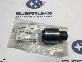 Фото автомобильной запчасти Сайлентблок задн поперечн рычага B12/13. (оригинальный номер 20254AE040)