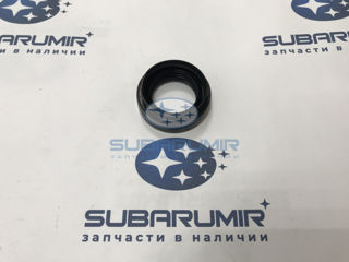 Фото автомобильной запчасти Сальник заднего редуктора R (оригинальный номер 806732210)