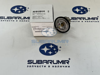 Фото автомобильной запчасти Термостат с прокладкой 91C (оригинальный номер 21210AA150)