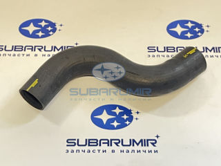 Фото автомобильной запчасти Патрубок радиатора верхний XV 20D G24 (оригинальный номер 45161FL000)