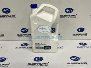 Фото автомобильной запчасти Антифриз Subaru Super Coolant 5L (оригинальный номер K067EYA005LP)