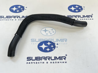 Фото автомобильной запчасти Патрубок (оригинальный номер 99071AD100)