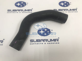 Фото автомобильной запчасти Патрубок радиатора нижний S12, XV 20B/25B. (оригинальный номер 45161SC020)