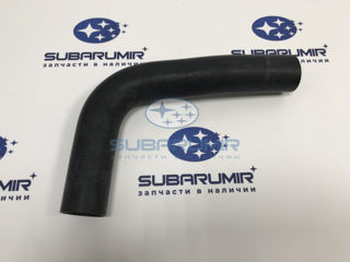 Фото автомобильной запчасти Патрубок радиатора нижний B15 (оригинальный номер 45161AJ190)