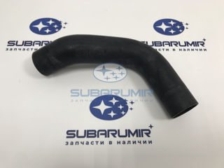 Фото автомобильной запчасти Патрубок радиатора нижний G12,B13, S12 (оригинальный номер 45161AG010)