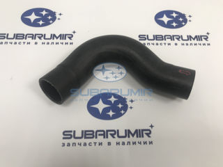 Фото автомобильной запчасти Патрубок радиатора нижний S10, S11 (оригинальный номер 45169FC020)