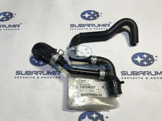 Фото автомобильной запчасти Патрубок системы вентиляции (оригинальный номер 11815AC330)