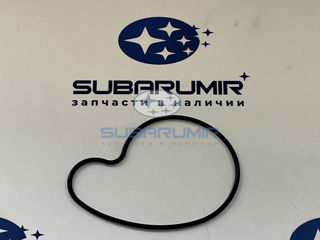 Фото автомобильной запчасти Прокладка помпы (оригинальный номер 21114AA120)