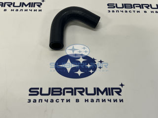 Фото автомобильной запчасти Шланг помпы (оригинальный номер 807615182)