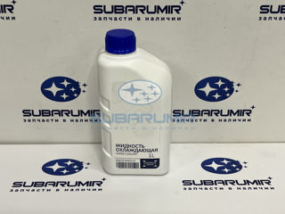 Фото автомобильной запчасти Антифриз Subaru Super Coolant 1L (оригинальный номер K067EYA001LP)