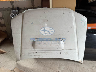 Фото автомобильной запчасти Капот Subaru Forester Turbo 2002-2006. БУ. (оригинальный номер 57229SA0109P)