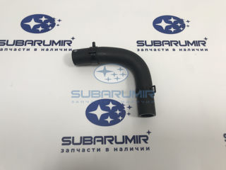 Фото автомобильной запчасти Патрубок (оригинальный номер 21204AB230)