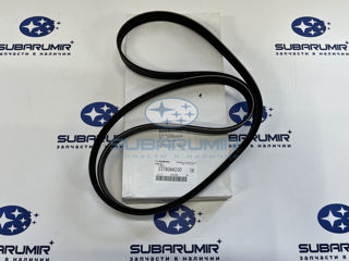 Фото автомобильной запчасти Ремень приводной (оригинальный номер 23780AA230)