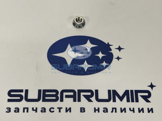 Фото автомобильной запчасти Гайка крепления АКБ. (оригинальный номер 023806000)