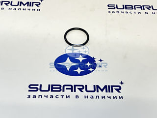 Фото автомобильной запчасти Кольцо уплотнительное антифризной трубки (оригинальный номер 806933080)