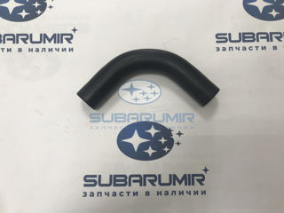 Фото автомобильной запчасти Патрубок (оригинальный номер 99071AB550)