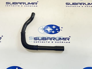 Фото автомобильной запчасти Патрубок (оригинальный номер 99071AC881)