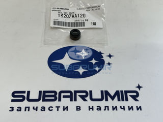 Фото автомобильной запчасти Колпачек маслосъемный впуск (кроме 3,0 и цепь) (оригинальный номер 13207AA120)