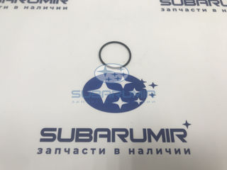 Фото автомобильной запчасти Кольцо (оригинальный номер 806932040)