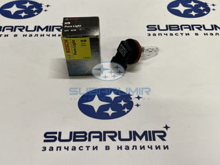 Фото автомобильной запчасти Лампочка H9 Tribeca дальний свет (оригинальный номер 1987302082)