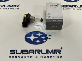 Фото автомобильной запчасти Лампочка H8 (XV туманка) (оригинальный номер L10835)