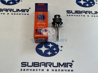 Фото автомобильной запчасти Лампочка ксенон Koito Out  B13, B14, G12  D2S 4000K (оригинальный номер 3502K)