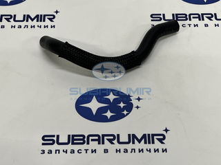 Фото автомобильной запчасти Патрубок (оригинальный номер 99071AD250)