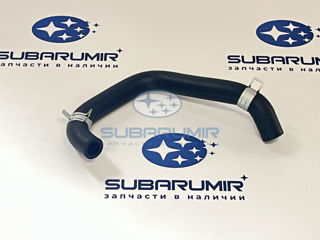 Фото автомобильной запчасти Патрубок (оригинальный номер 11815AB530)