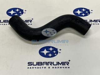 Фото автомобильной запчасти Патрубок радиатора (оригинальный номер 45167FC000)