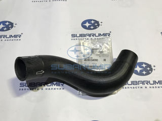 Фото автомобильной запчасти Патрубок радиатора верхний S11 255 (оригинальный номер 45161SA000)