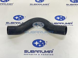 Фото автомобильной запчасти Патрубок радиатора нижний Tribeca (оригинальный номер 45161XA02A)