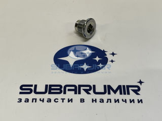 Фото автомобильной запчасти Пробка заднего редуктора (оригинальный номер 807018060)