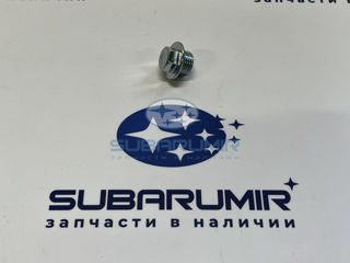 Фото автомобильной запчасти Пробка поддона B14 (оригинальный номер 807016160)